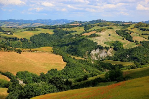 Hilly landscape between Sassocorvaro and Urbino