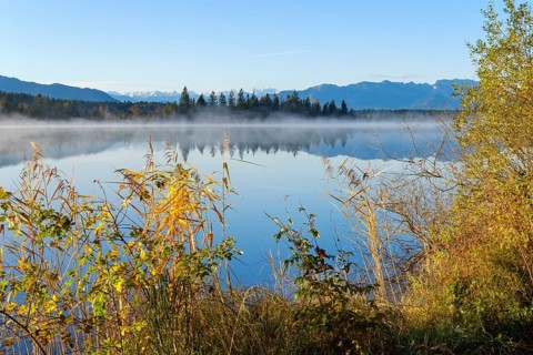 Early mist at Kirchsee