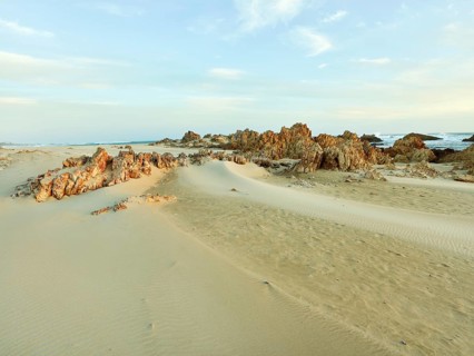 Rocky Beach Muffels Bay