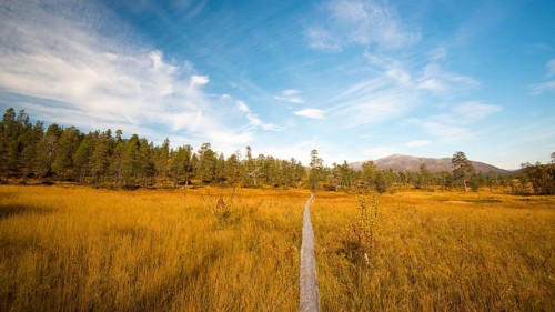 Hiking trail