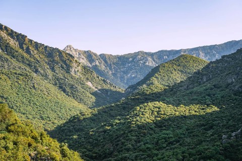 Wooded slopes