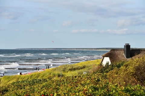 Groynes in the wavy sea