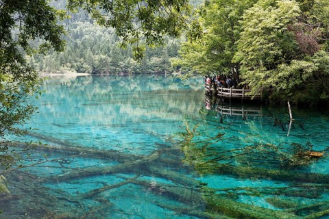 Five-colour lake