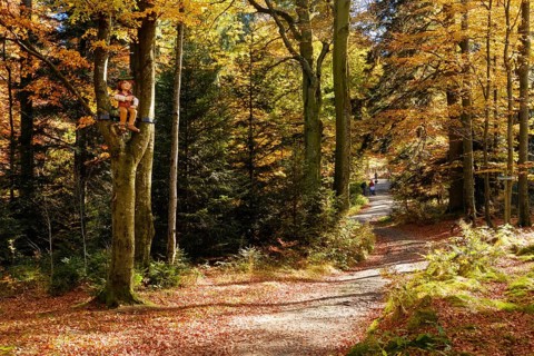 Hiking trail to the Brotjacklriegel