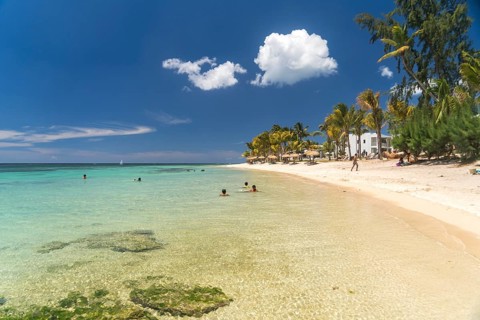 Dream beach at Turtle Bay