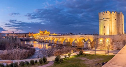 Illuminated fortress Torre de la Calahorra with Puente Romano