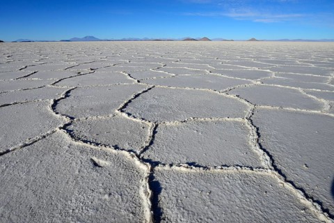 Honeycomb structure on the salt lake