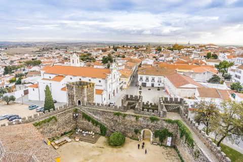 Cityscape with castel