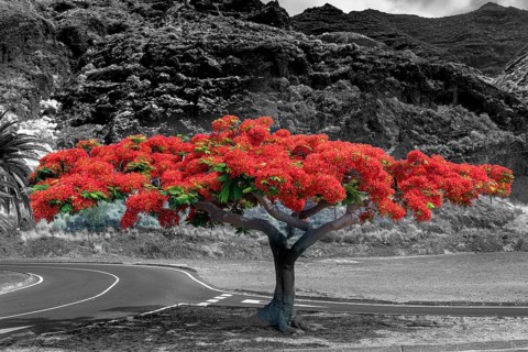 Colorkey