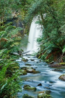 Hopetoun Falls in the rainforest