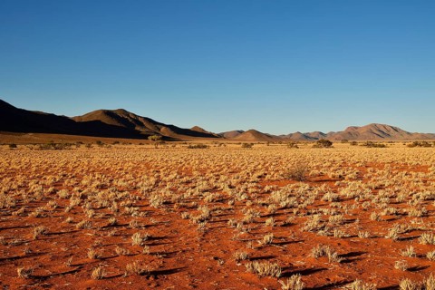 Desert Landscape