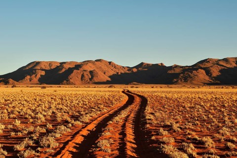 Sandtrack through desert landscape at evening light
