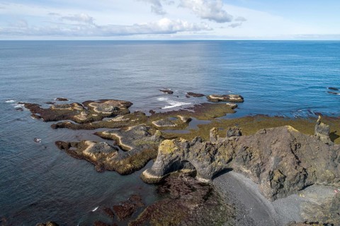 Rocky coast