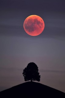 Bloodmoon