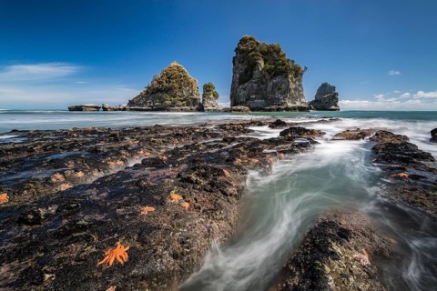 Starfishes on rocky coast