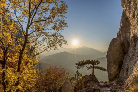 Autumn landscape