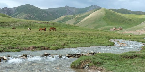 Tash Rabat with horses on meadow and mountain river