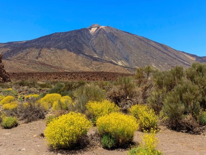 Volcano Pico del Teide