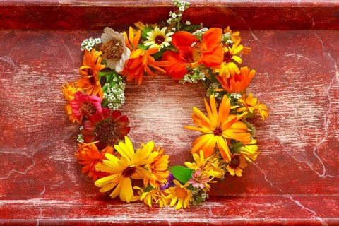 Flower wreath on red background