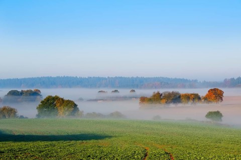 Morning mist near Perletzhofen near Riedenburg