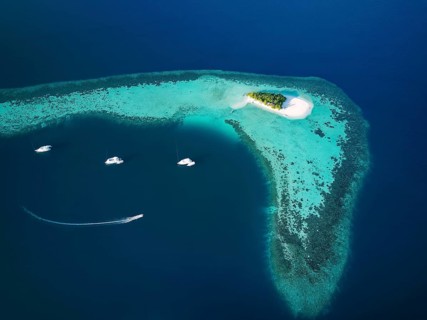 Uninhabited island for day trips with palm trees