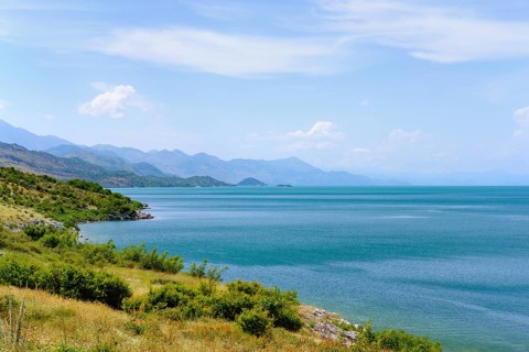 South shore of Lake Skadar