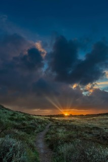 Sunrise with sunbeams over heathland