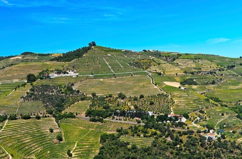 Vineyard region Alto Douro in the valley of Rio Pinhao