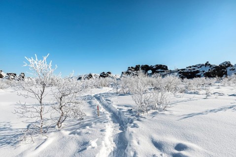 Footprints in snowy landscape