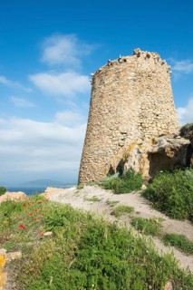 Genoa Tower
