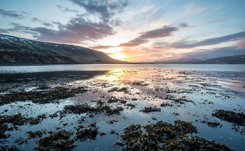 Sunset at Hvalfjorour