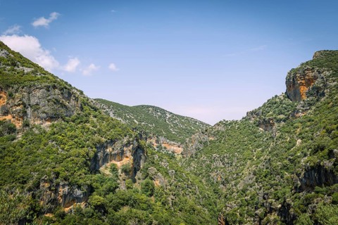 Wooded slopes
