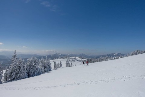Ski mountaineers in a snowy landscape to Unterberg