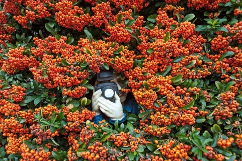 Paparazzi figure with a camera in Firethorn