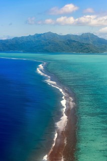 Reef in the South Seas
