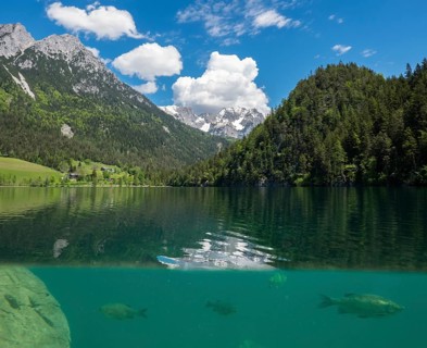 Hintersteinersee with fish