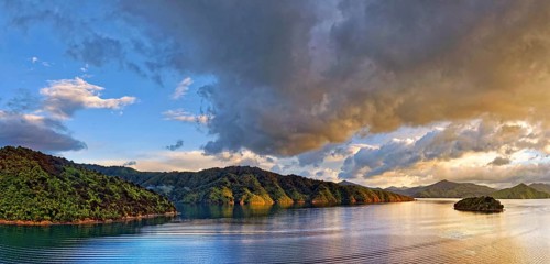 Tightly overgrown coastal forest at sunrise in Queen Charlotte Sound