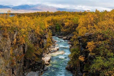 Autumnal Abisko Canyon