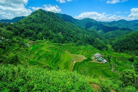 Bangaan in the rice terraces of Banaue