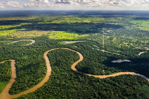 Rio Aquidauana flows through jungle