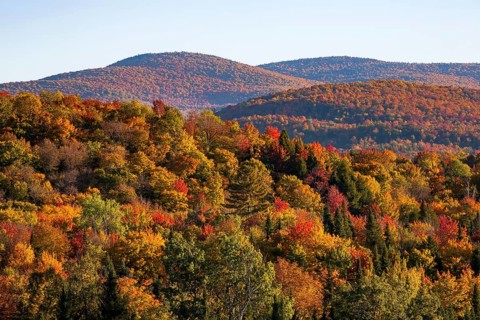 Autumn colors