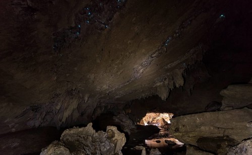 Stalactite cave with firefly colony