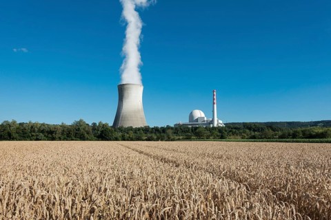 Grain field at the Swiss nuclear power plant Leibstadt am Rhein