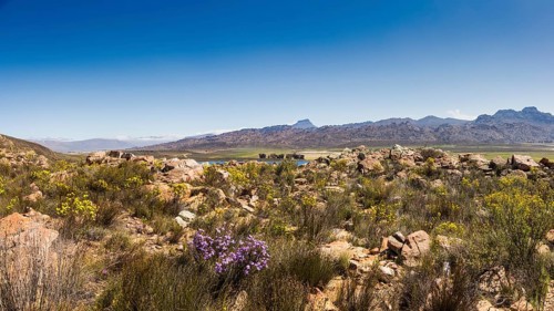 Landscape in the Ceder Mountains near Clanwilliam