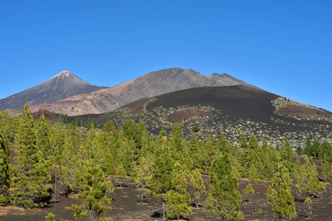 Pico del Teide and Pico Viejo