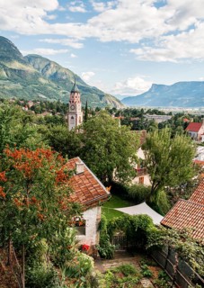 View over gardens