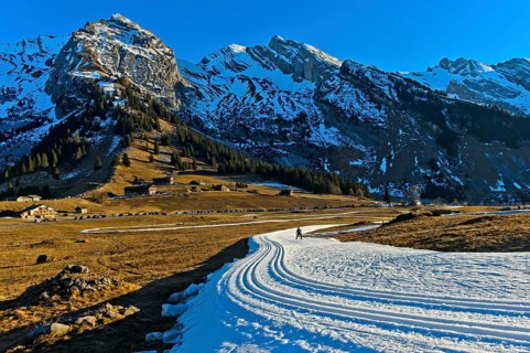 Trail of artificial snow during a snowless winter