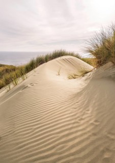 Sand Dune