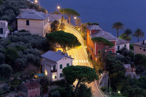 Road bend between houses and pines