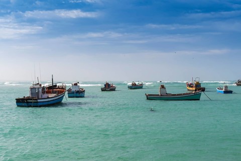 Anchored fishing boats in harbor